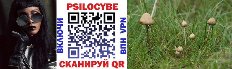 ссылка на мегу как войти  купить наркоту  Ивдель  Псилоцибиновые грибы прущие грибы 